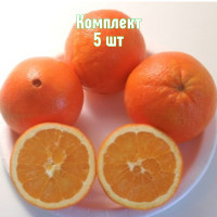 Комплект 5шт / Апельсин Навели..